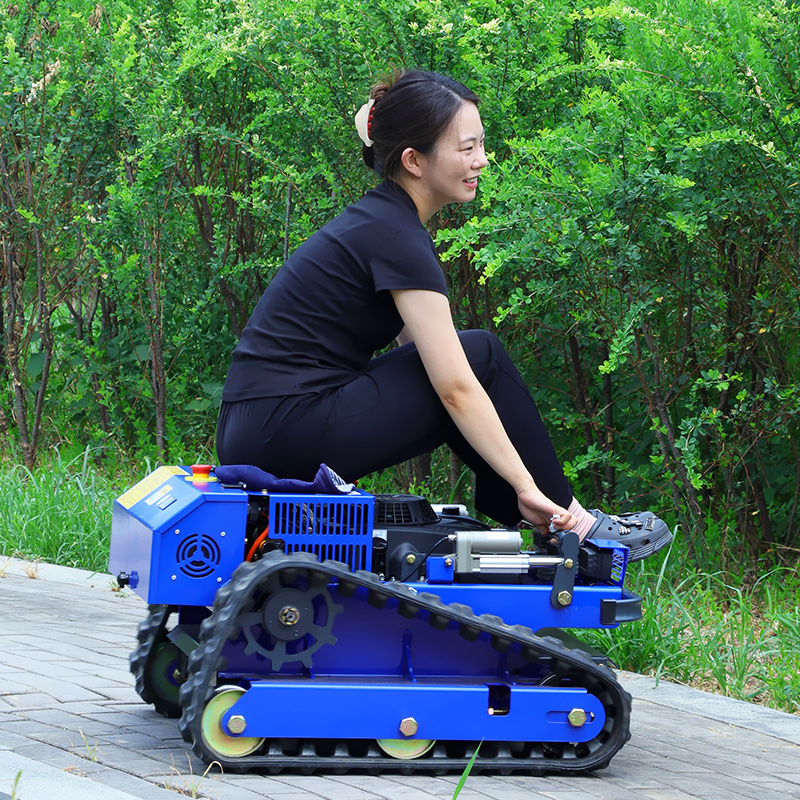 Cortadora de Césped Robótica a - Hedge Trimmer Cordless reseña y precio