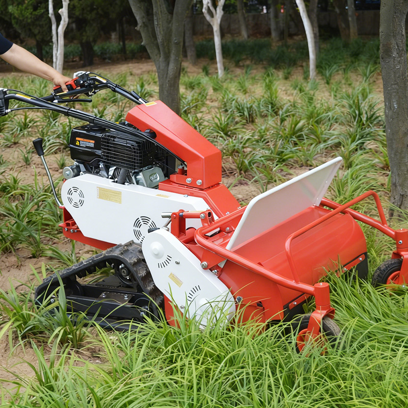 Cortacésped de arrastre manual - Hedge Trimmer Cordless reseña y precio